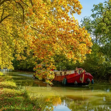 Le Dallas - 1 Chambre, 1 Canape-lit, 1er Etage, Parking, 10min Canal Du Midi Lägenhet Castelsarrasin
